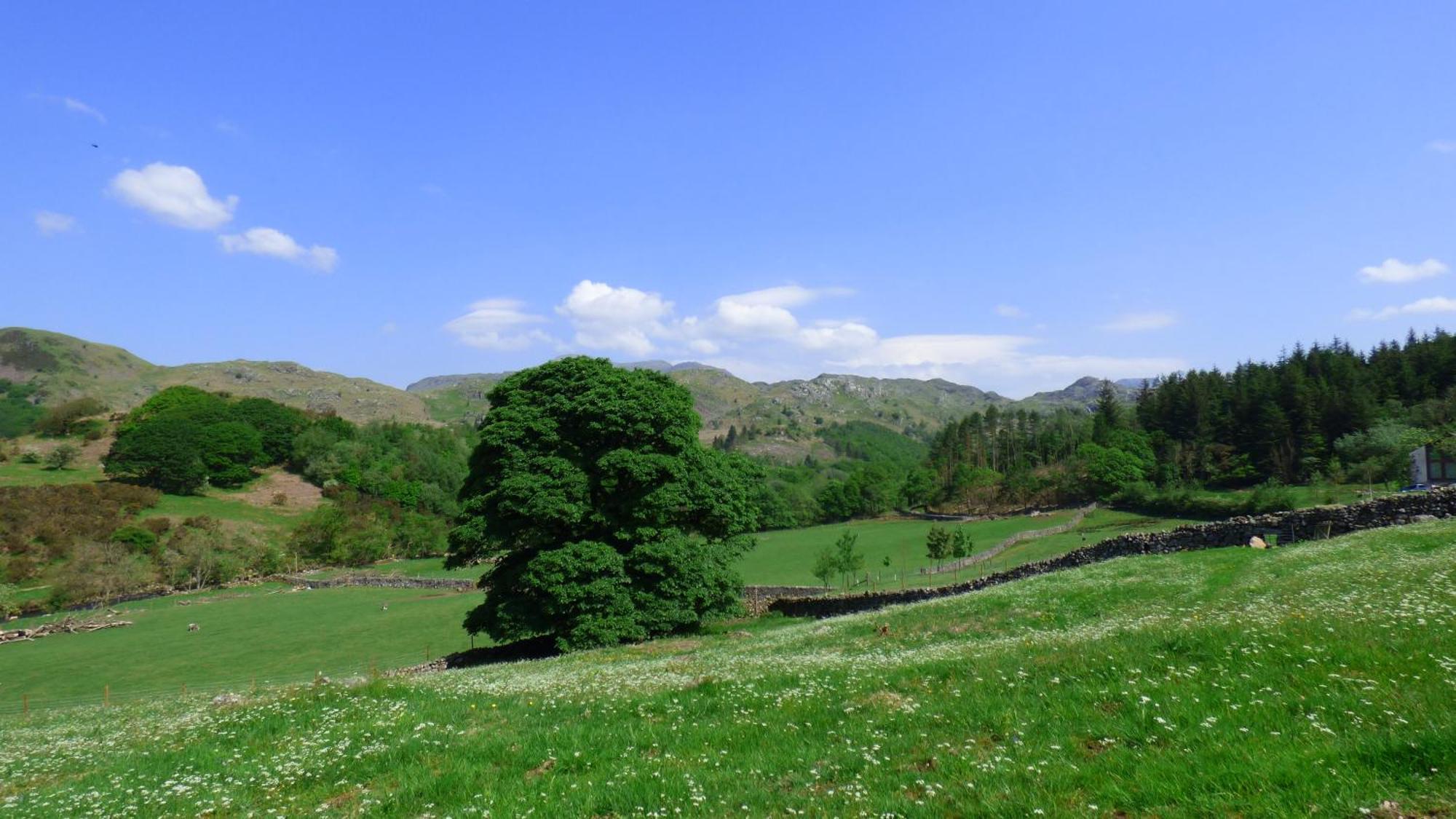 Renovated 5 Bedroom Farmhouse In Picturesque Eskdale, Lake District Ngoại thất bức ảnh